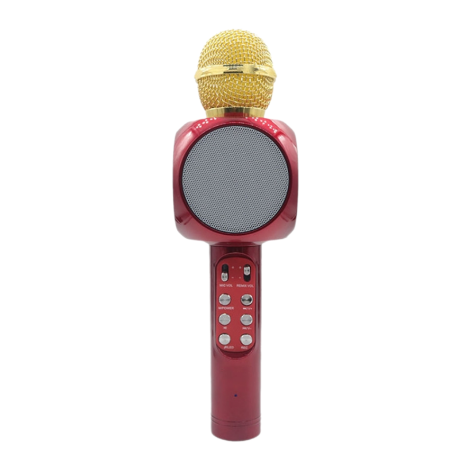 Микрофон HANDHELD KTV WS-1816