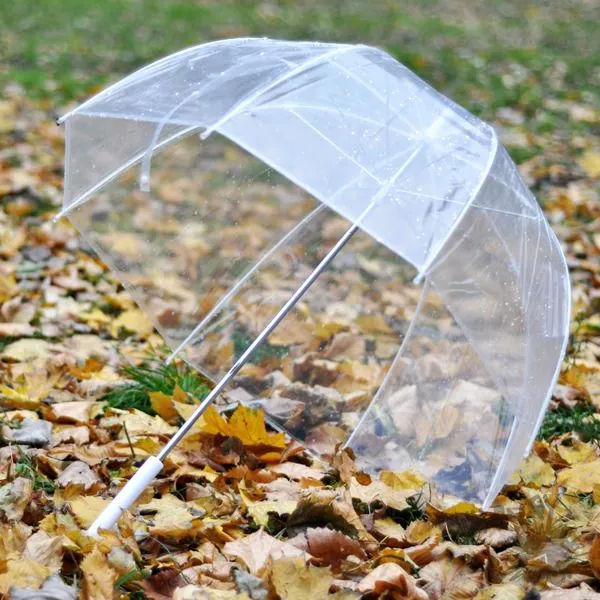 Зонт прозрачный