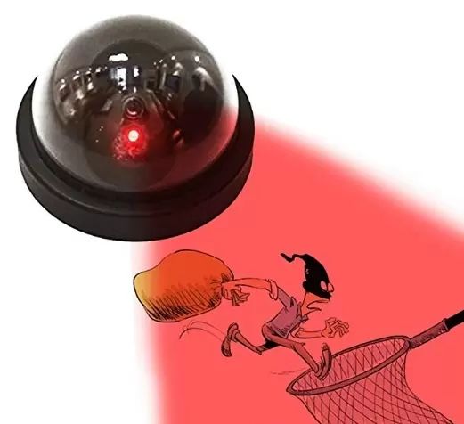 Камера муляж